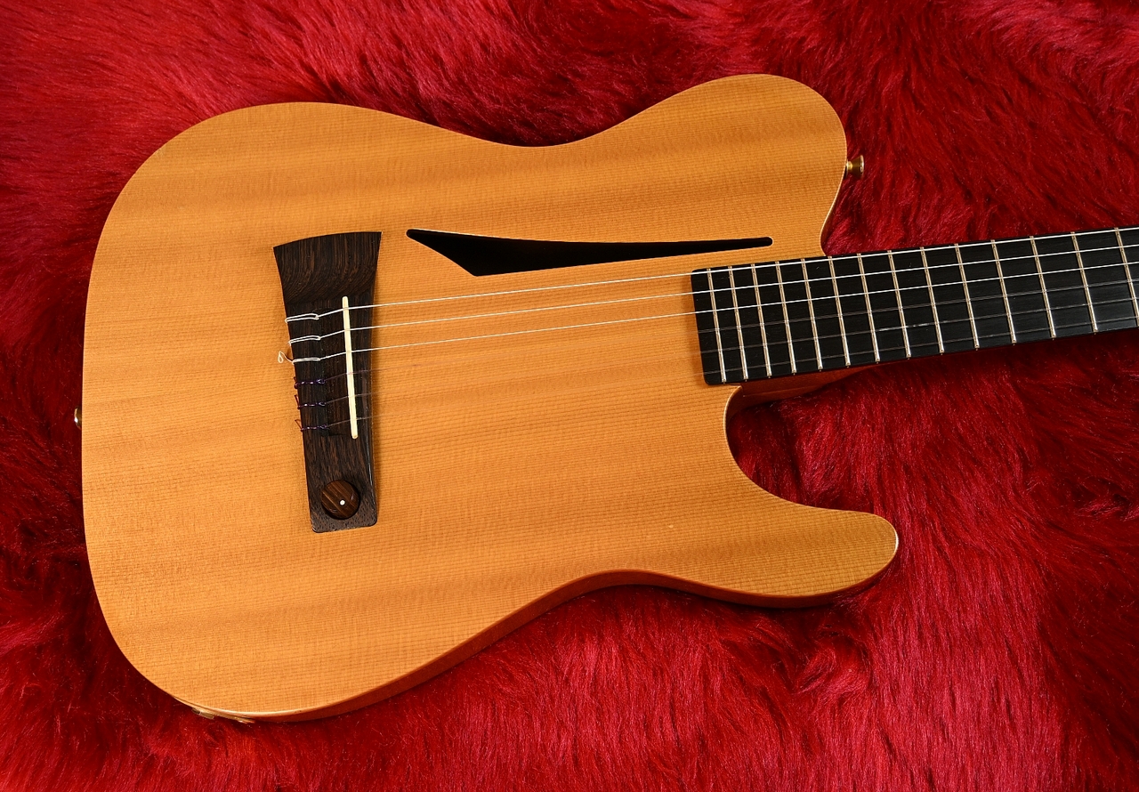 P-Project A-1N（中古）【楽器検索デジマート】