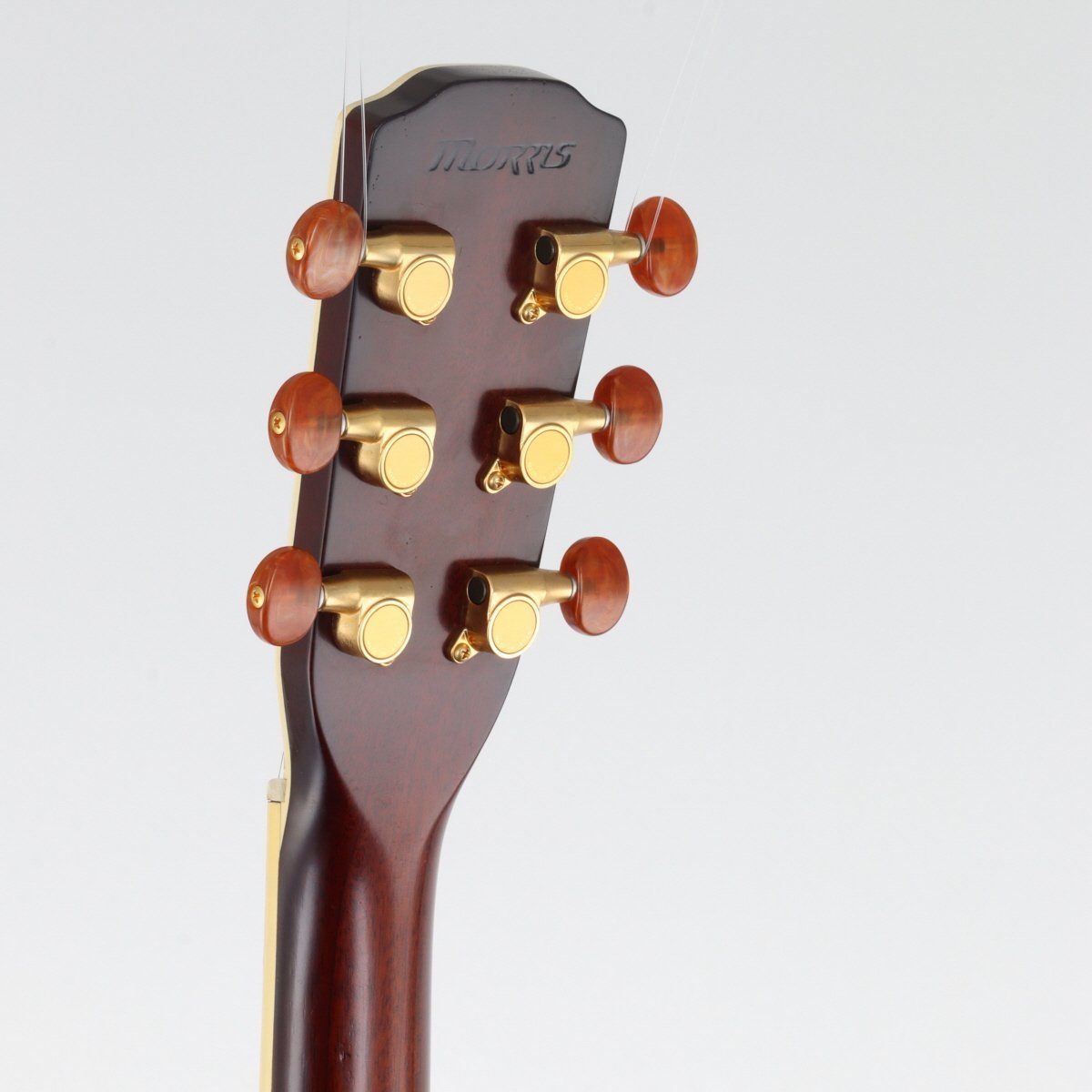 Morris MW-801 Sunburst【福岡パルコ店】（中古/送料無料