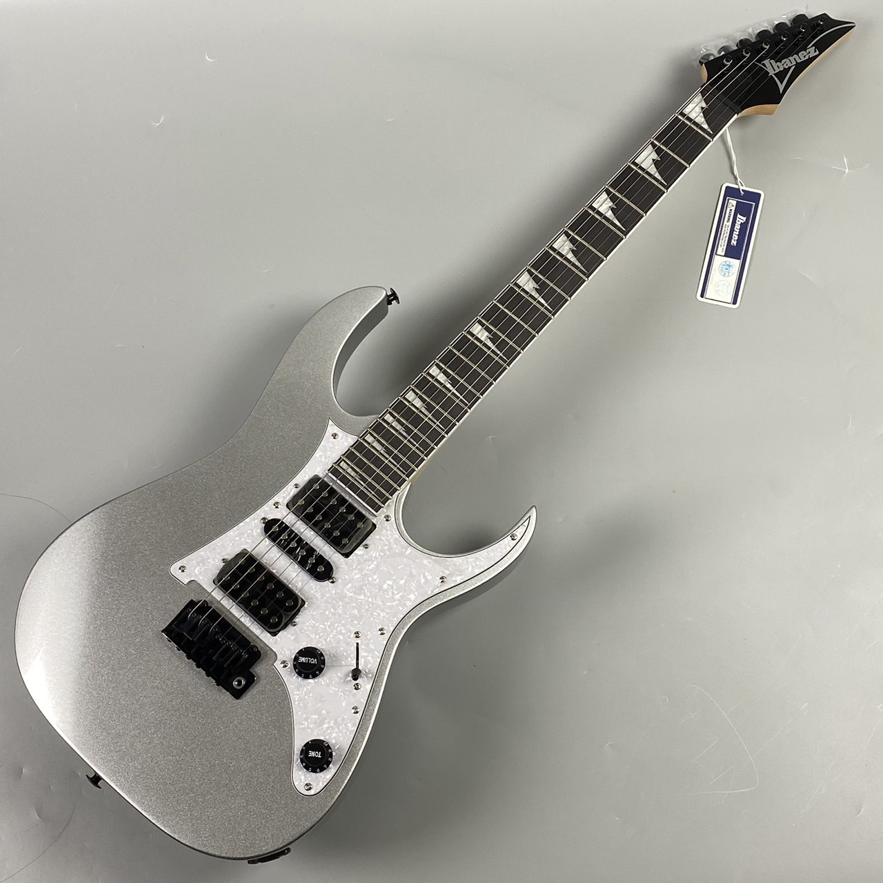 Ibanez RGV250 SV シルバー エレキギター 【現物写真】(新品 Ibanez RGV250 SV シルバー エレキギター 【現物写真】(新品