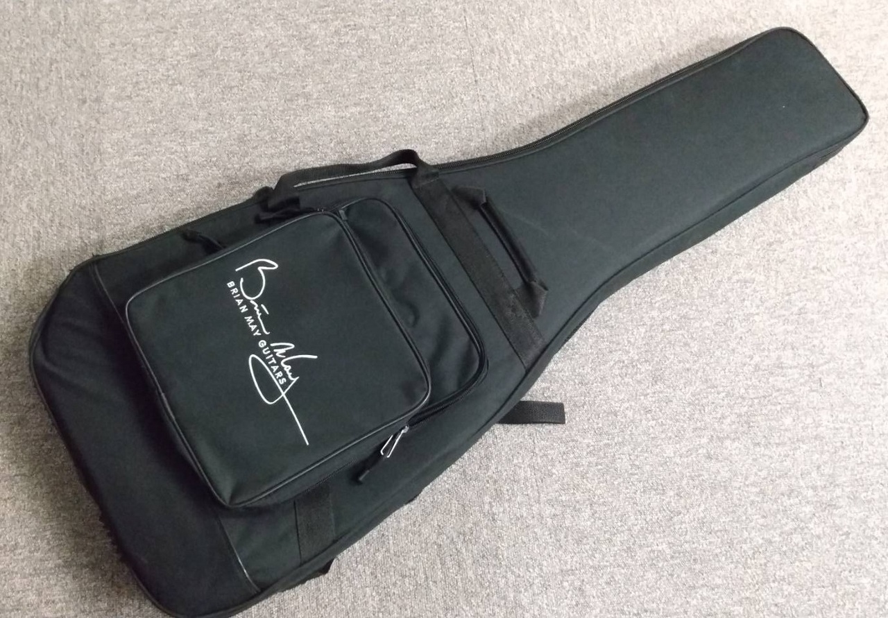 Chapman deluxe sale gig bag