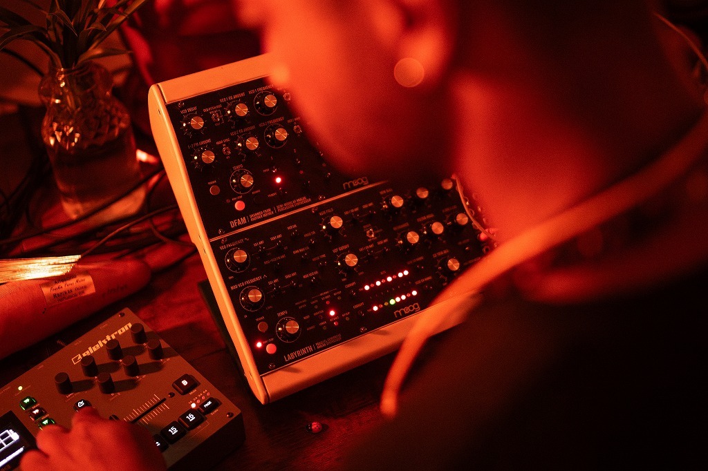 Moog Labyrinth セミモジュラー・パラレル・ジェネレーティブ