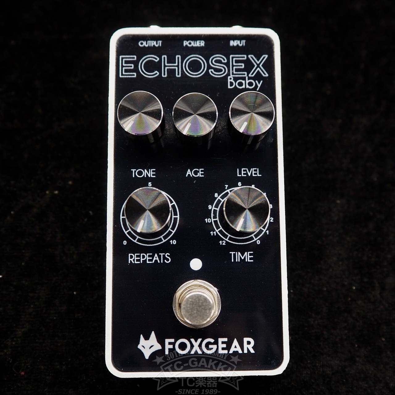 FOXGEAR ECHOSEX Baby（中古）【楽器検索デジマート】