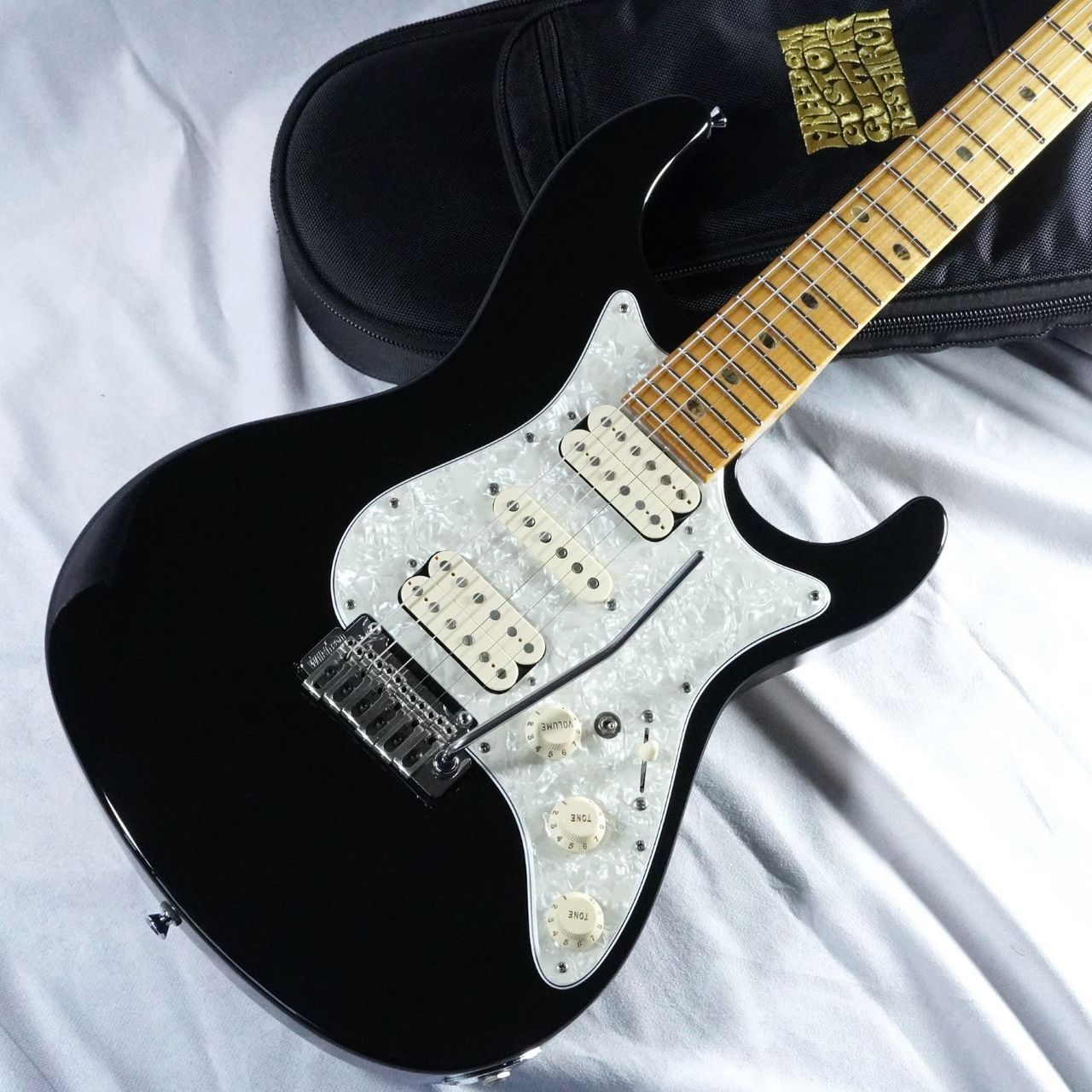 FREEDOM CUSTOM GUITAR RESEARCH Hydra Classic 22F Ash / Black 