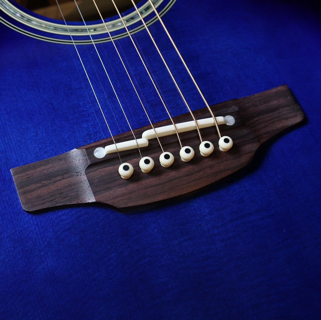 Takamine 【左利き用・デュアルピックアップ】DMP552C Lefty DBS