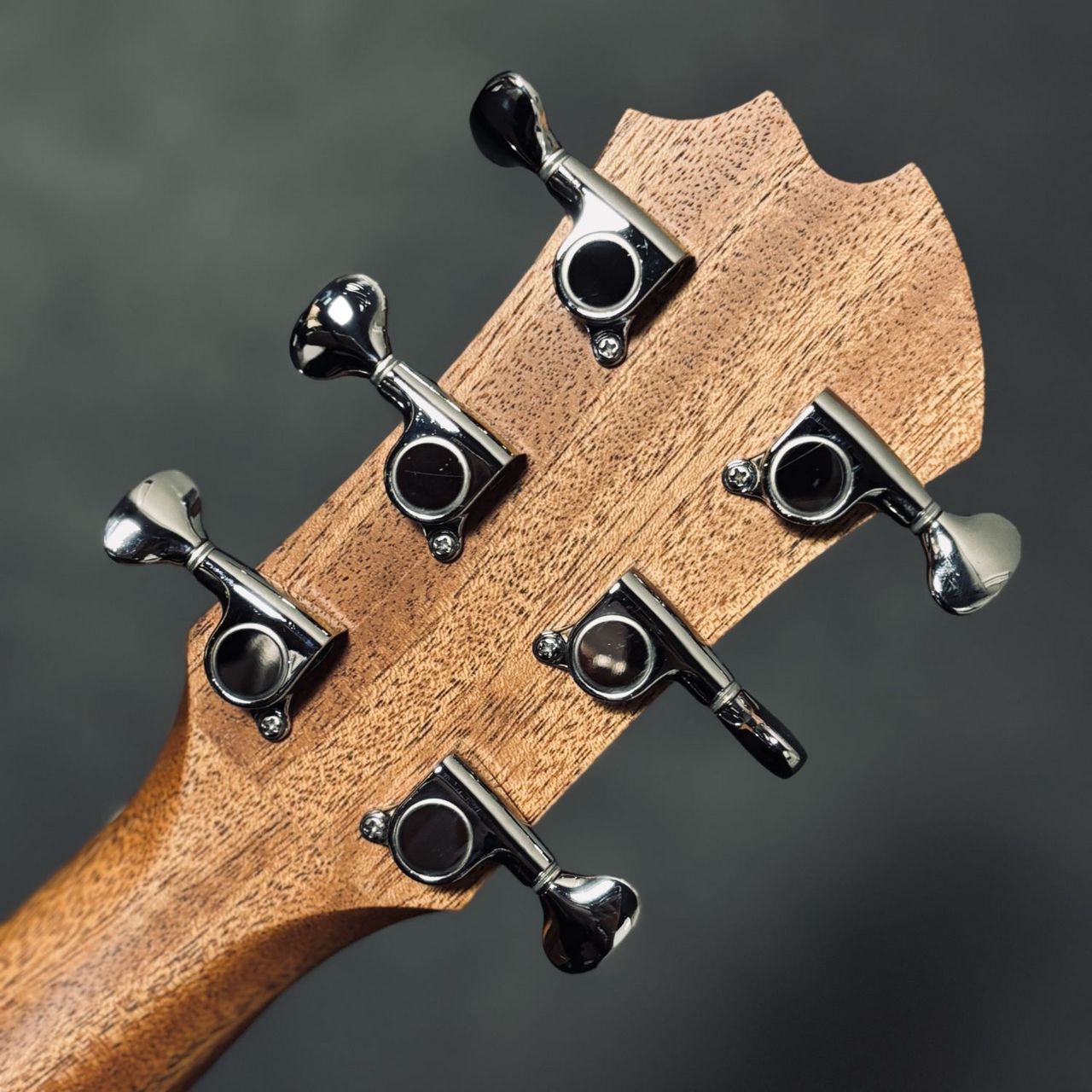 James J-100A MHT アコースティックギター ギグケース付属