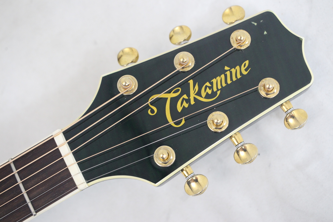 Takamine NPT-110（中古）【楽器検索デジマート】
