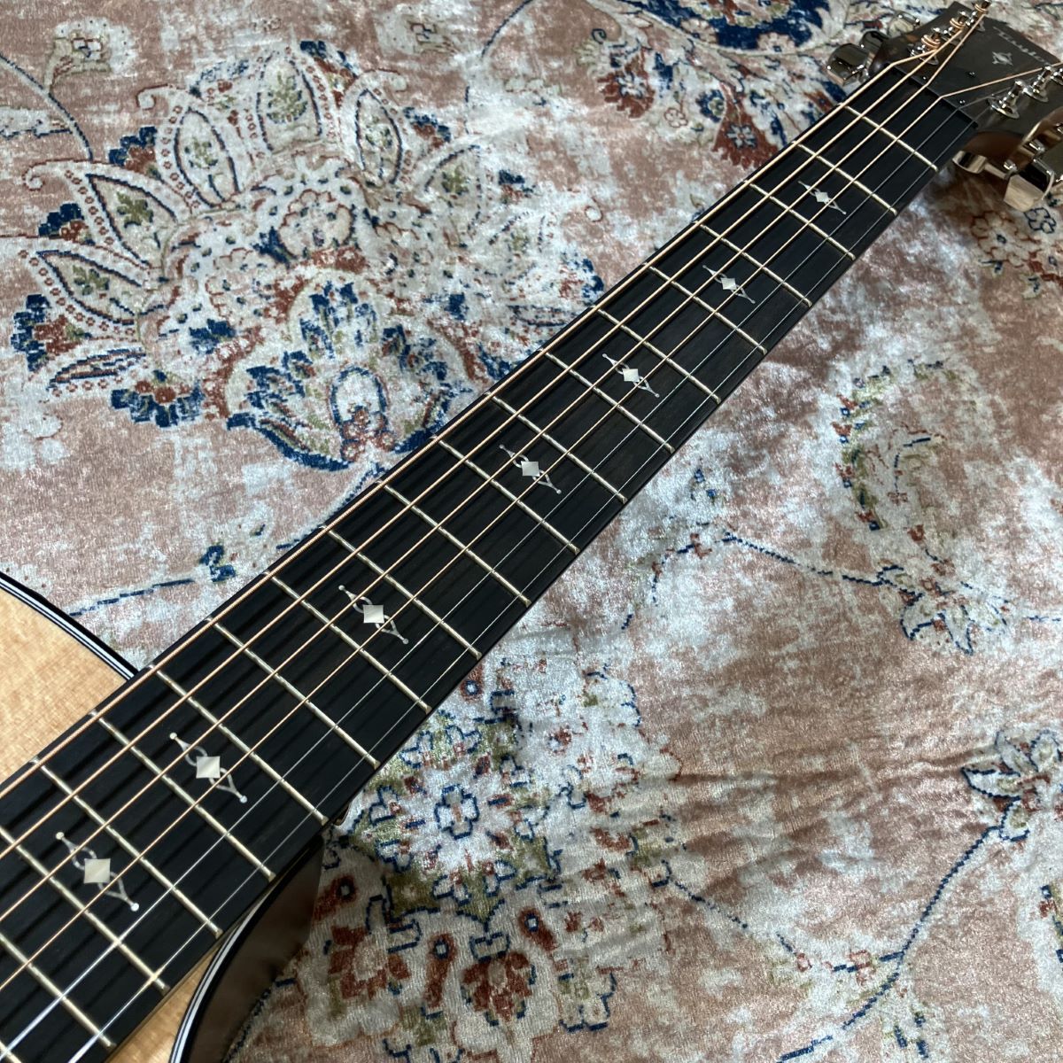 Taylor 314ce Special Edition テイラー 美品 Taylor 314ce Studio Special Edition テイラー（新品）【楽器