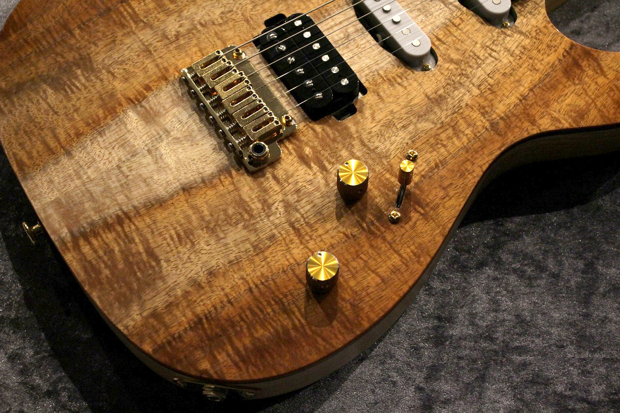 Altero Custom Guitars Mag シリアル1桁 Altero Custom Guitars Mag シリアル1桁