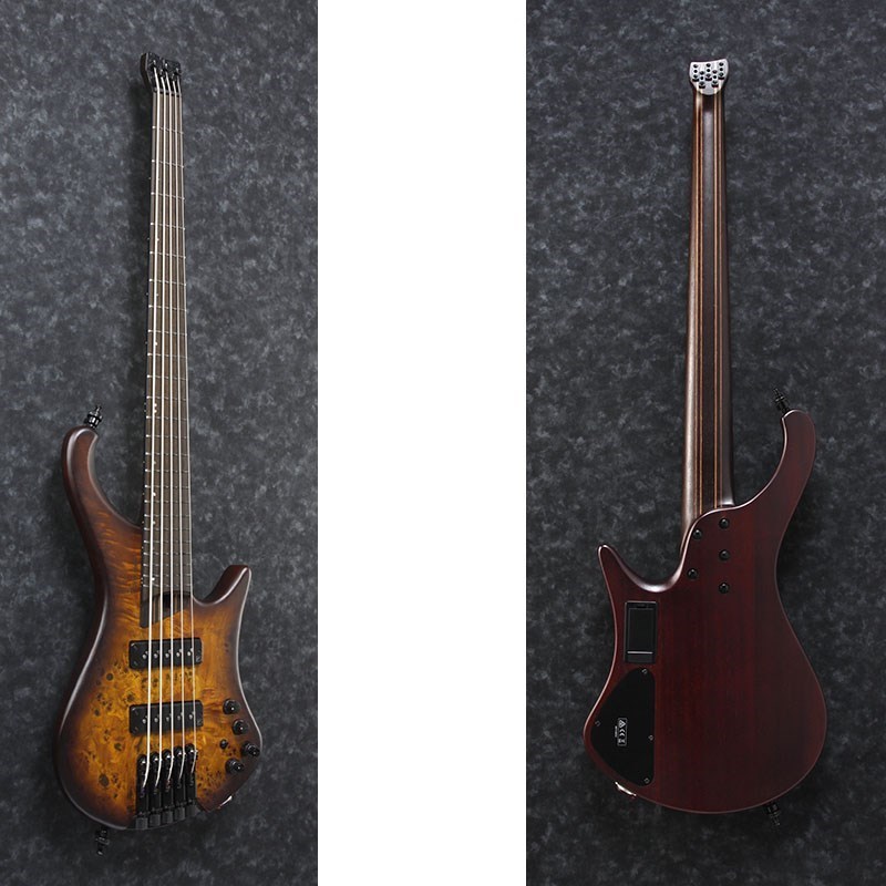 Ibanez Bass Workshop EHB1505-DEF 【特価】（新品特価）【楽器検索