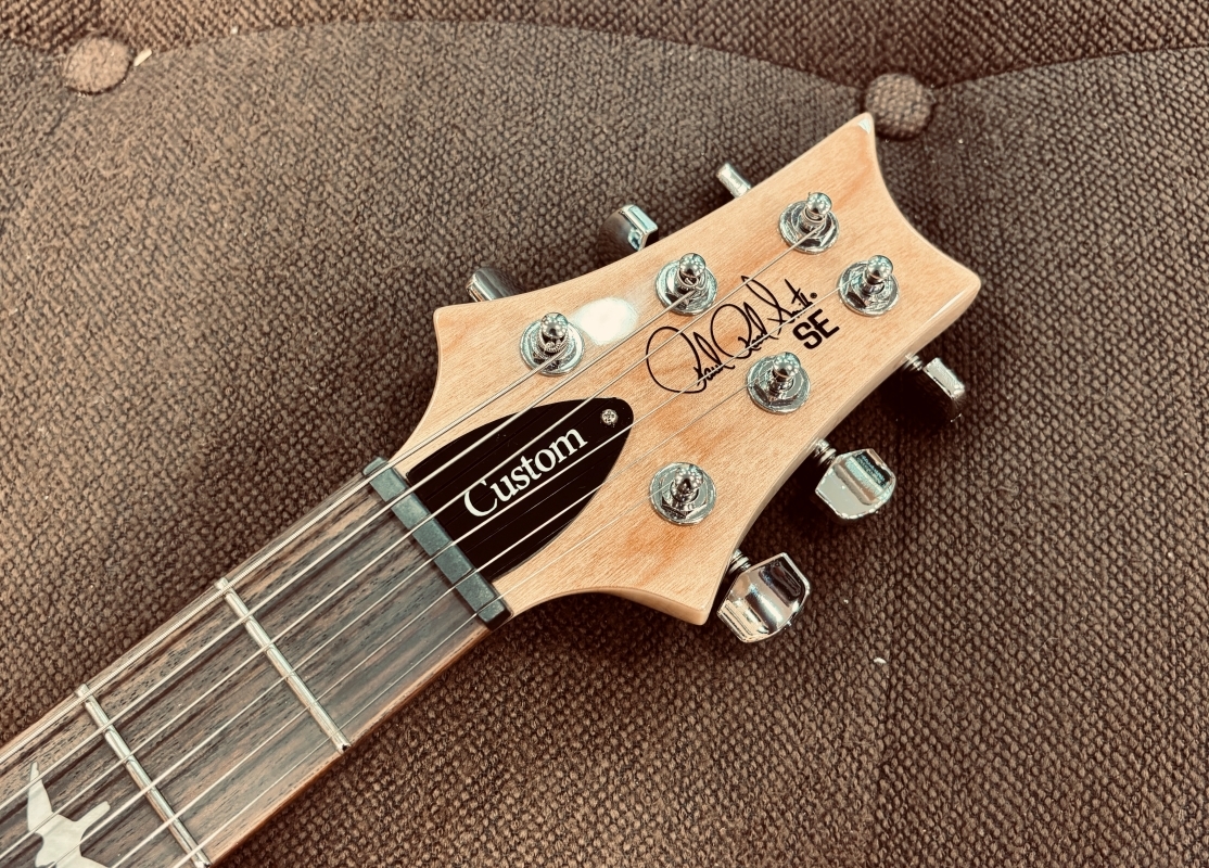 Paul Reed Smith(PRS) SE Custom 24 / Blue Matteo Natural Back