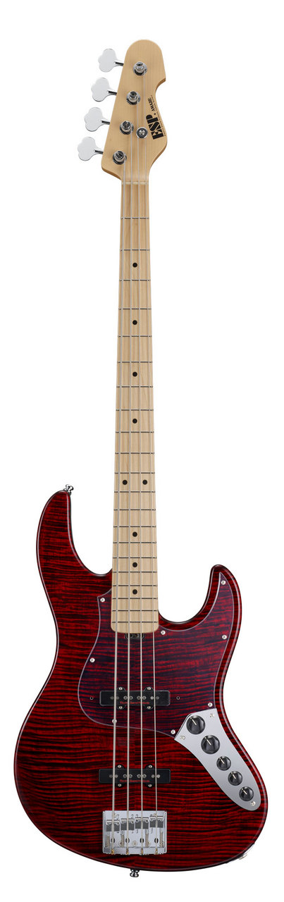 ESP AMAZE-CTM FM【See Thru Black Cherry】（新品/送料無料）【楽器検索デジマート】