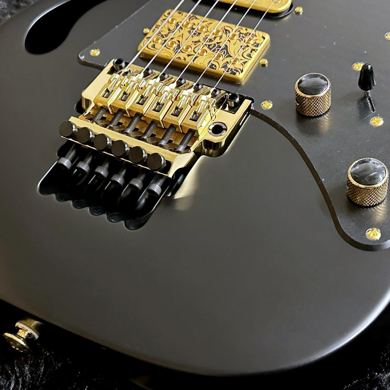 Ibanez PIA3761-XB (Onyx Black) Steve Vai Signature Model 【특가】【미전시 보관】 사진 4