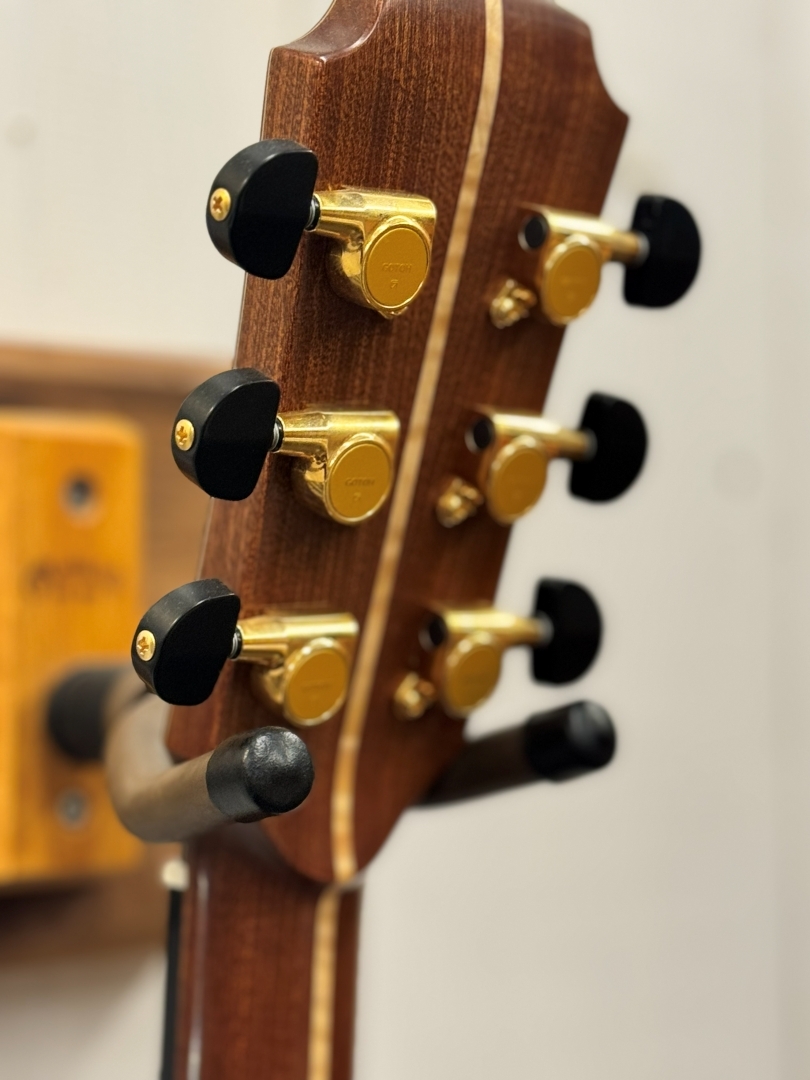 AVALON Guitars L2-800C 《Brazilian Rosewood》【無金利分割OK】（B級