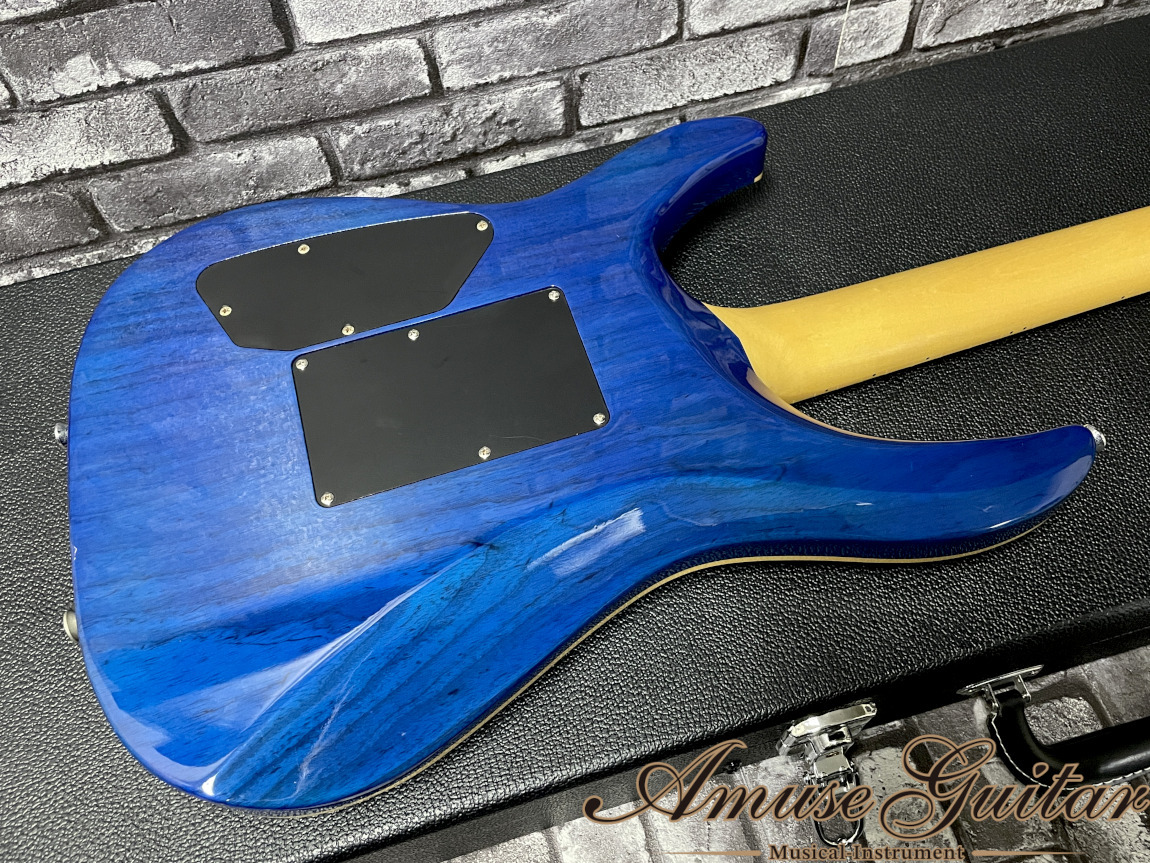 G-Life Guitars DSG Standard # Royal Blue Turquoise 2009年製