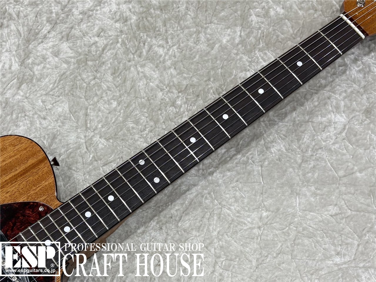 Tokai ATE-103S / Natural（新品/送料無料）【楽器検索デジマート】