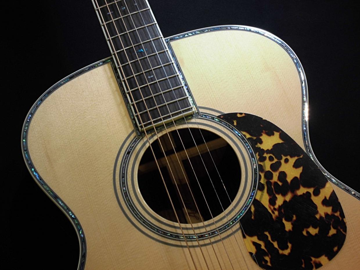ARIA AF-905 -Aria Dreadnought- 【生産完了品】 【オール単板