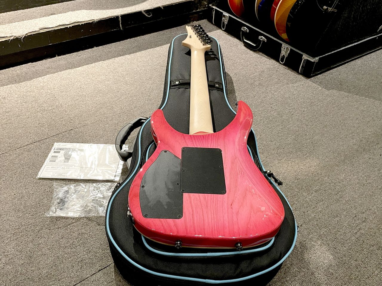 G-Life Guitars DSG Life-Ash VII Geranium Pink Burst（中古）【楽器