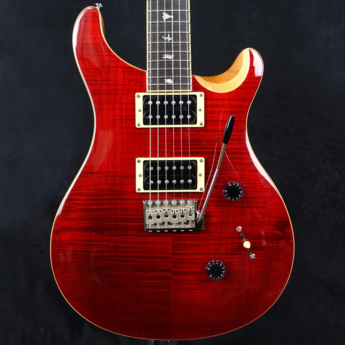 Paul Reed Smith(PRS) SE Custom 24 Limited Natural Back Black