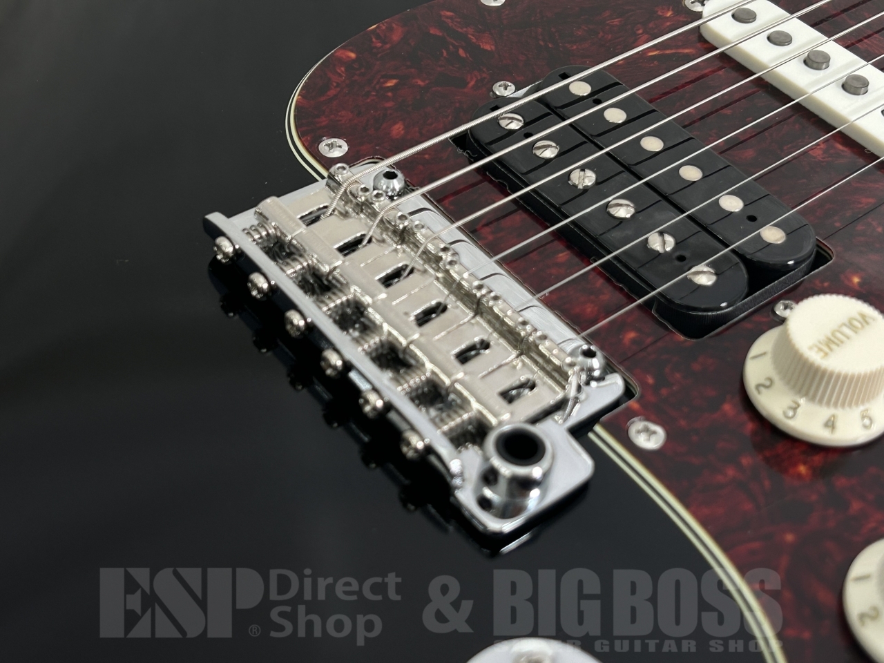 SAITO GUITARS S-622CS Heritage (Black/Tortoise Shell)（新品/送料