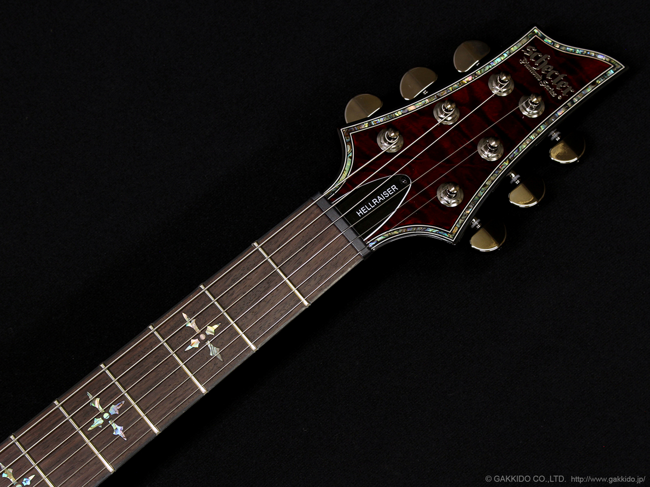 SCHECTER Diamond Series Hellraiser C-1 [Black Cherry]（新品