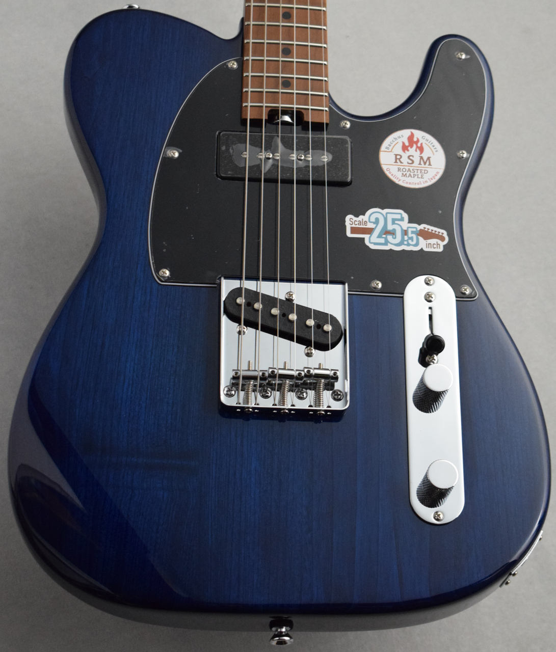 Bacchus Global Series GS-001 MEL - ギター
