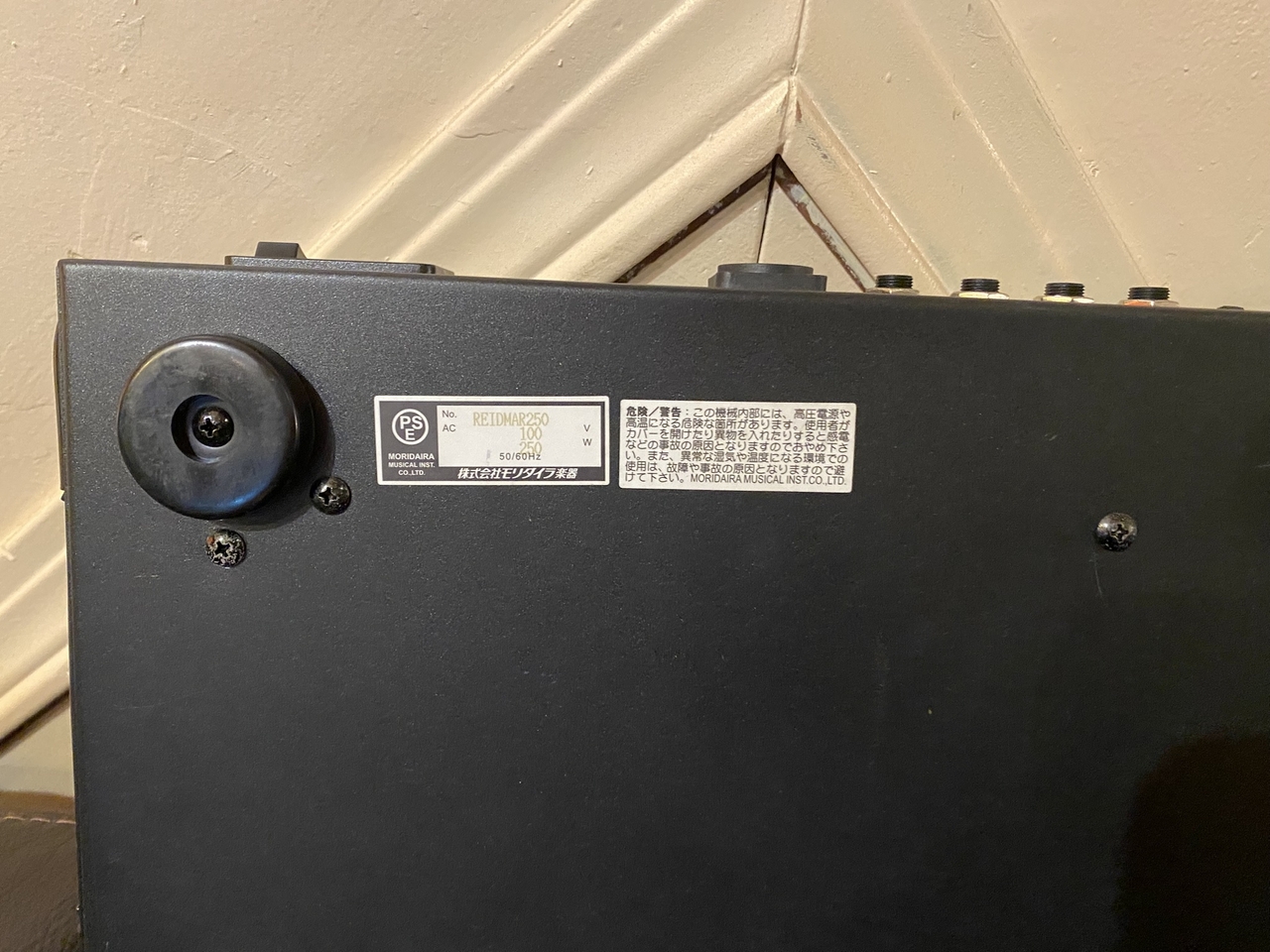 EBS Reidmar 250 BASS HEAD AMP（中古）【楽器検索デジマート】