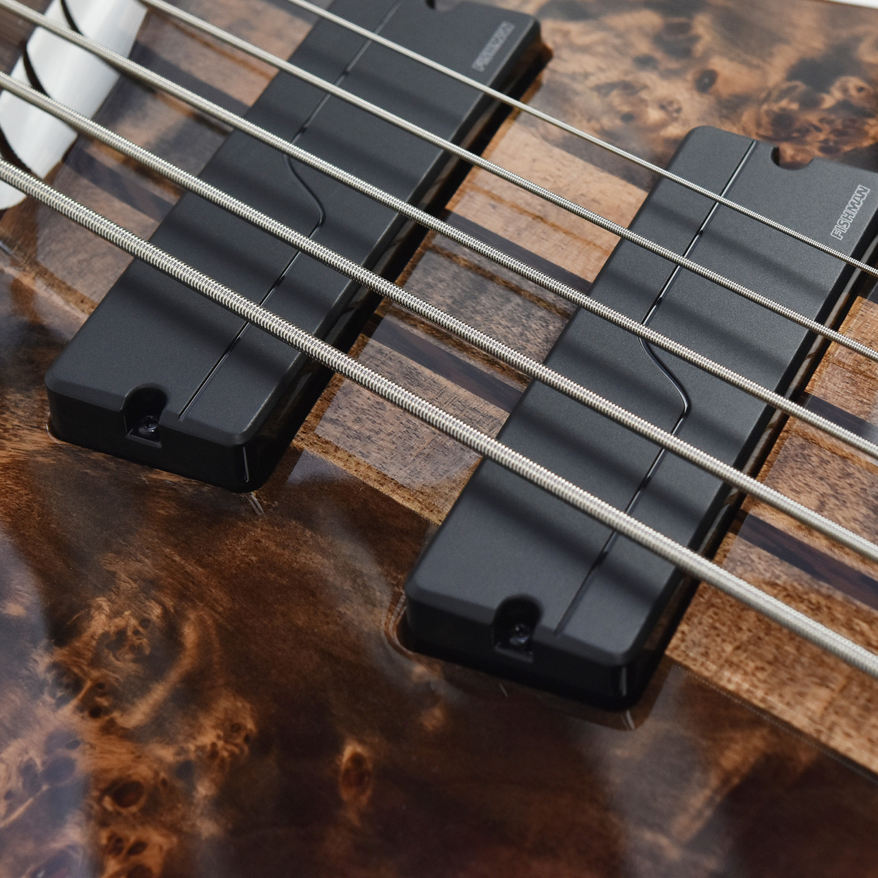 Spector NS Dimension 5 Super Faded Black Gloss（新品）【楽器