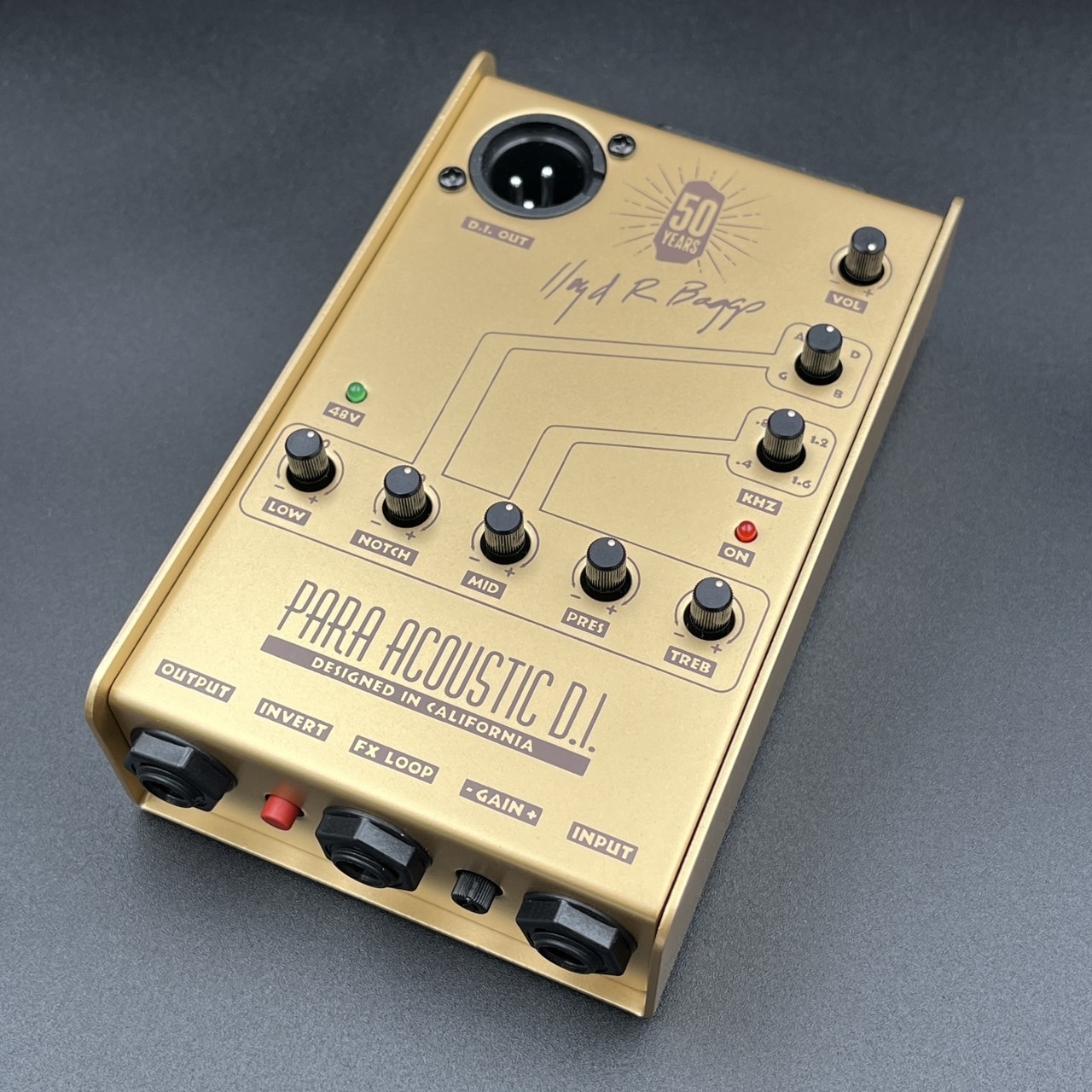 L.R.Baggs 【国内300個限定品】50th Anniversary Gold Para DI（新品 