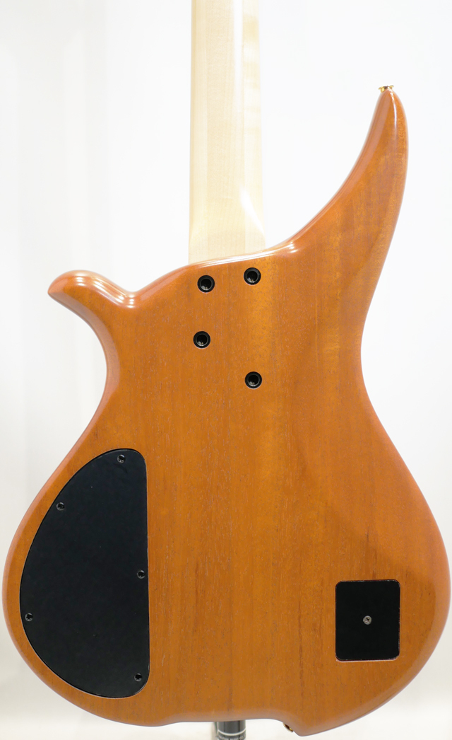 Tune TWB-4 EX Figured Walnut/Mahogany（新品特価）【楽器検索