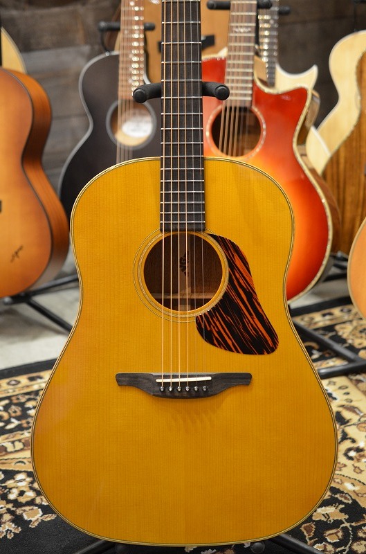VG VG-03 Mahogany VN（新品）【楽器検索デジマート】