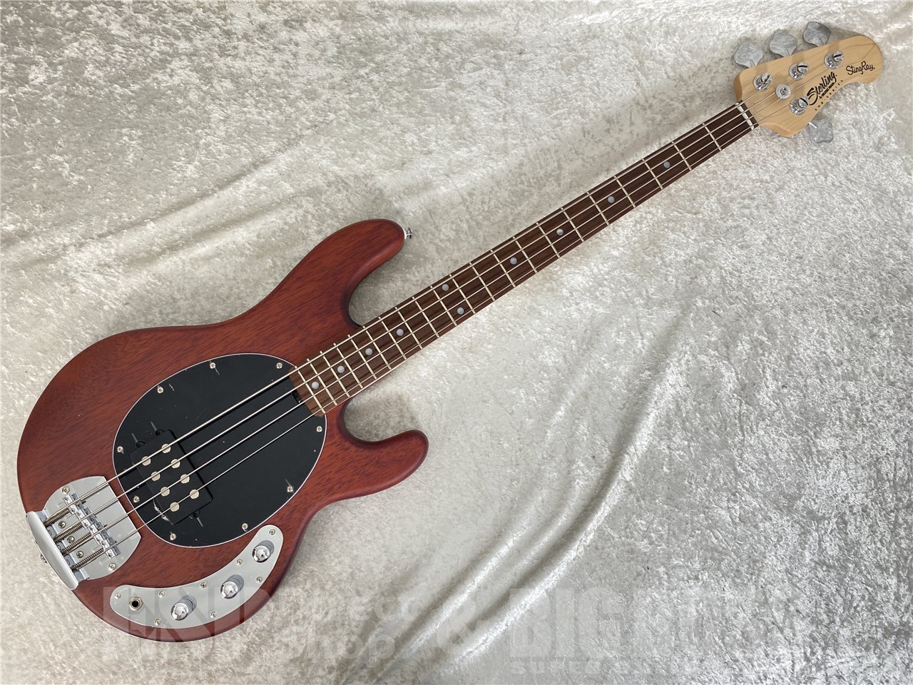 sterling sub ray4ウォルナット 弦高低く弾きやすい！ Sterling by MUSIC MAN S.U.B RAY4 (Walnut Satin)（新品/送料無料