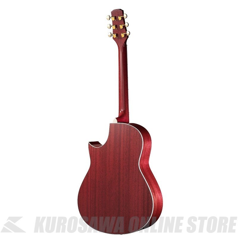 Morris TC-16 SPK HAND MADE PREMIUM (お取り寄せ)（新品）【楽器検索