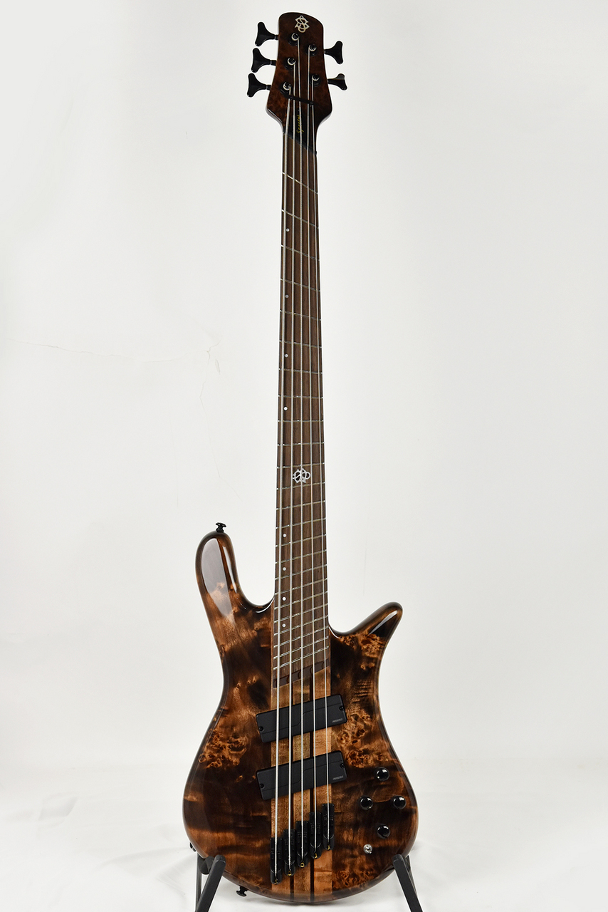 dimension　5弦 ベース Spector NS Dimension 5, Black and Blue Gloss with Wenge