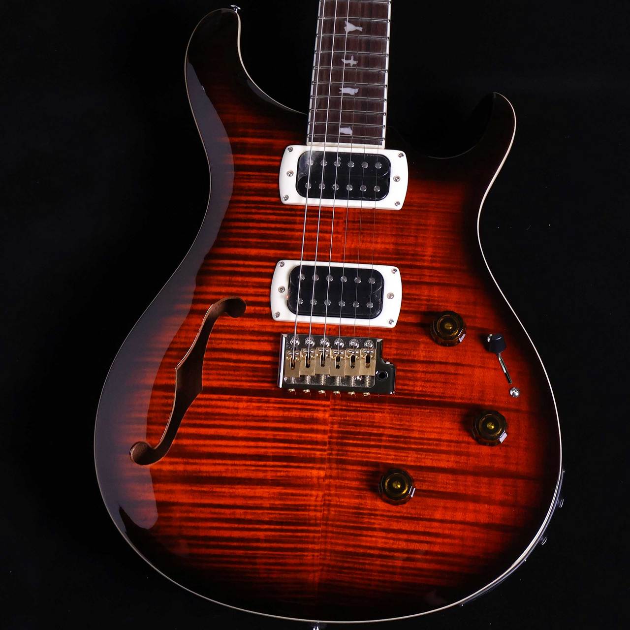 Paul Reed Smith(PRS) SE Custom24 Semi-Hollow Piezo Orange Tiger
