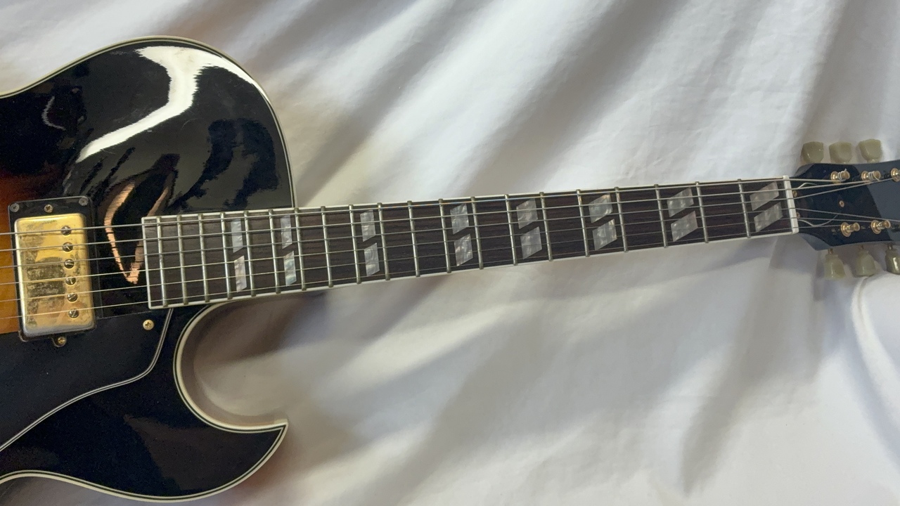FERNANDES　BURNY RFA-65　フルアコ エレキギター hq720.jpg?sqp=-