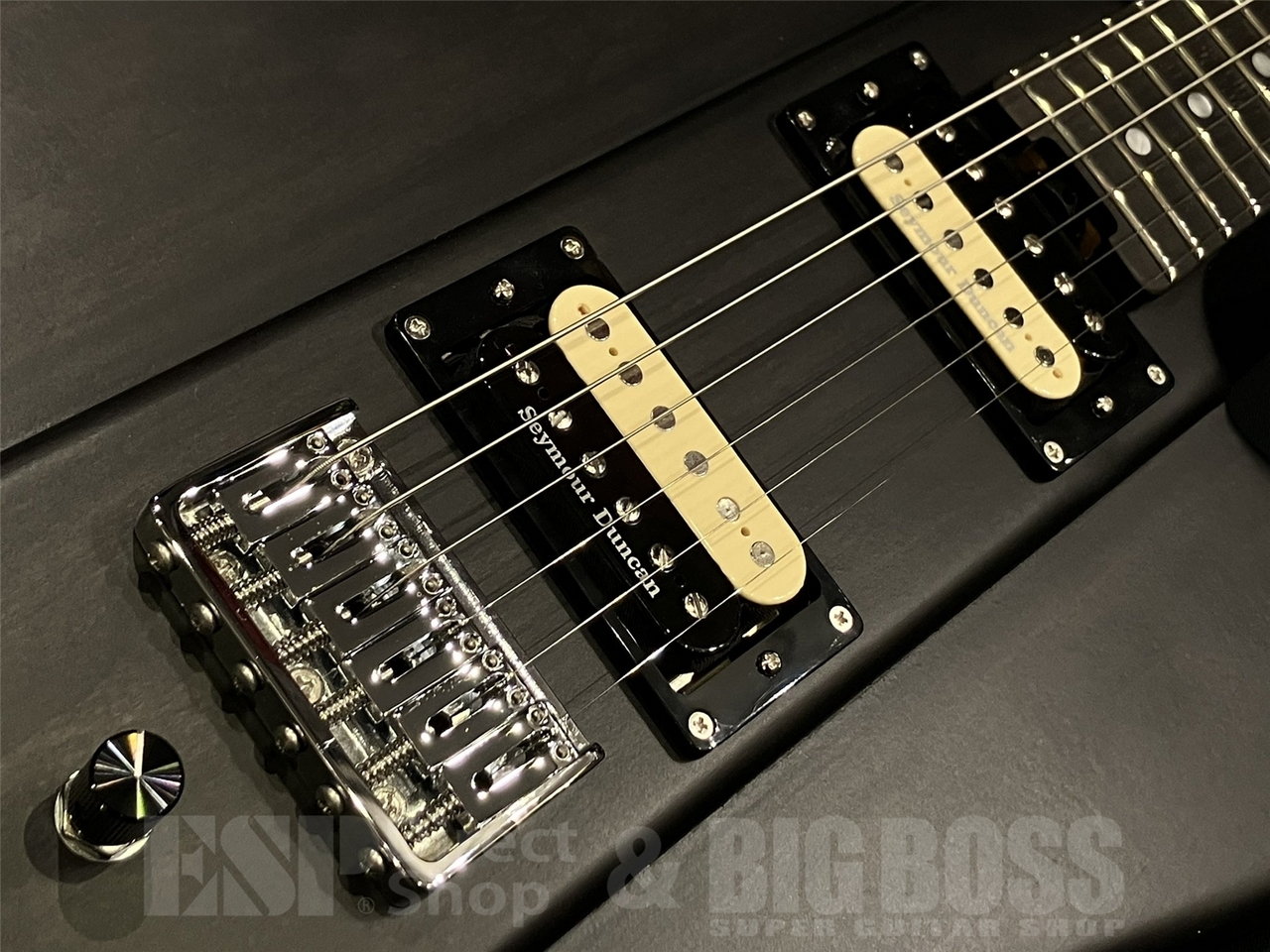 EDWARDS KARMASTER / See Thru Black 【9mm Parabellum Bullet 滝 善充