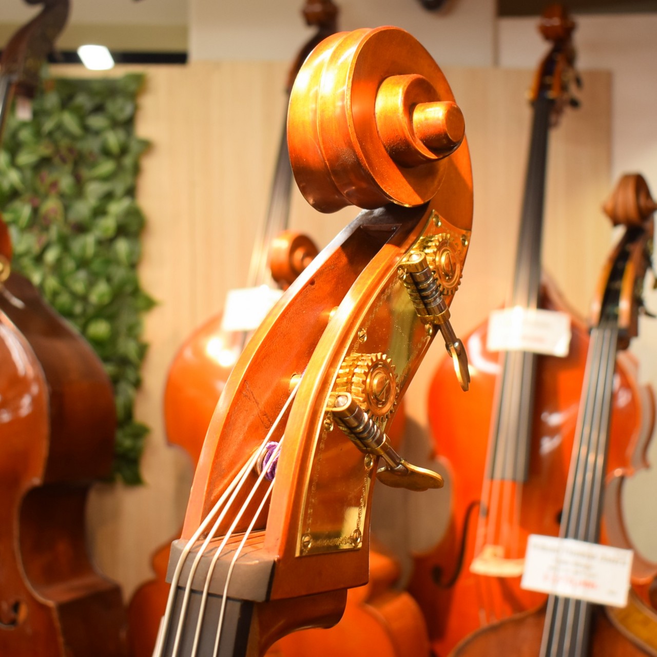 【再掲載】Gliga gem2 3/4 F.back Realist 再掲載】Gliga gem2 3/4 F.back Realist Gliga Gems II Violin Shape/C