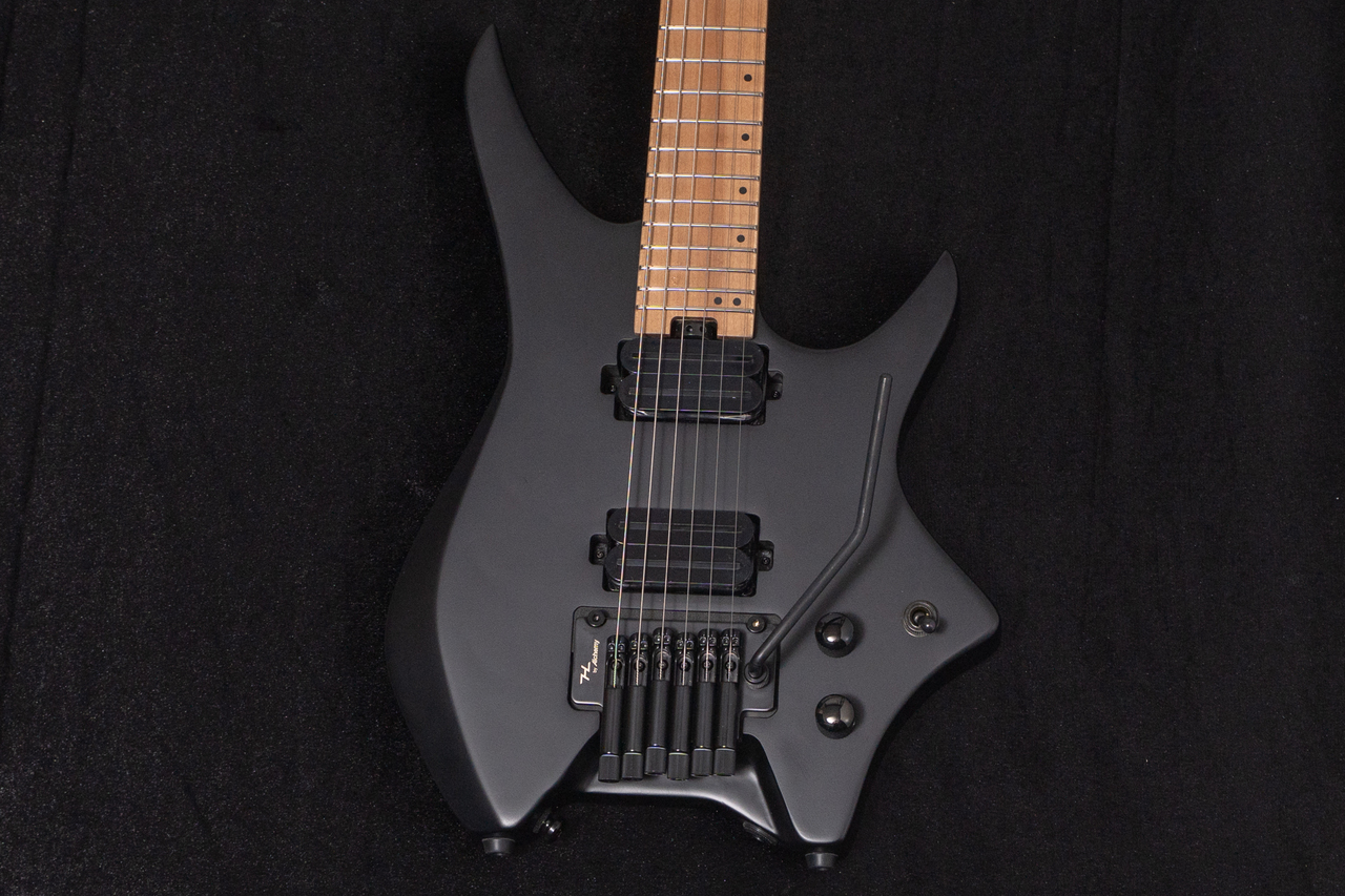 ギター HEX Guitars / N500P Black HEX Guitars N500P Black（新品/送料無料）【楽器検索デジマート】