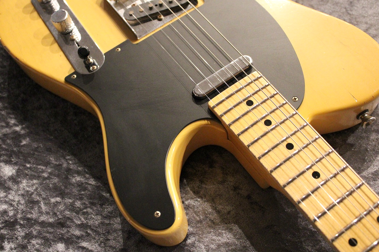 FREEDOM CUSTOM GUITAR RESEARCH Custom Order R.S.TE