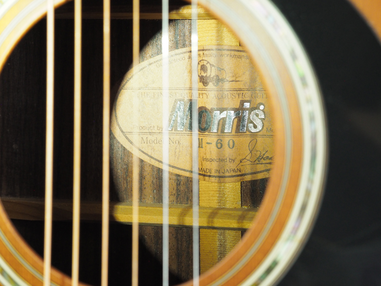 Morris M-60(管理番号4905)（中古）【楽器検索デジマート】