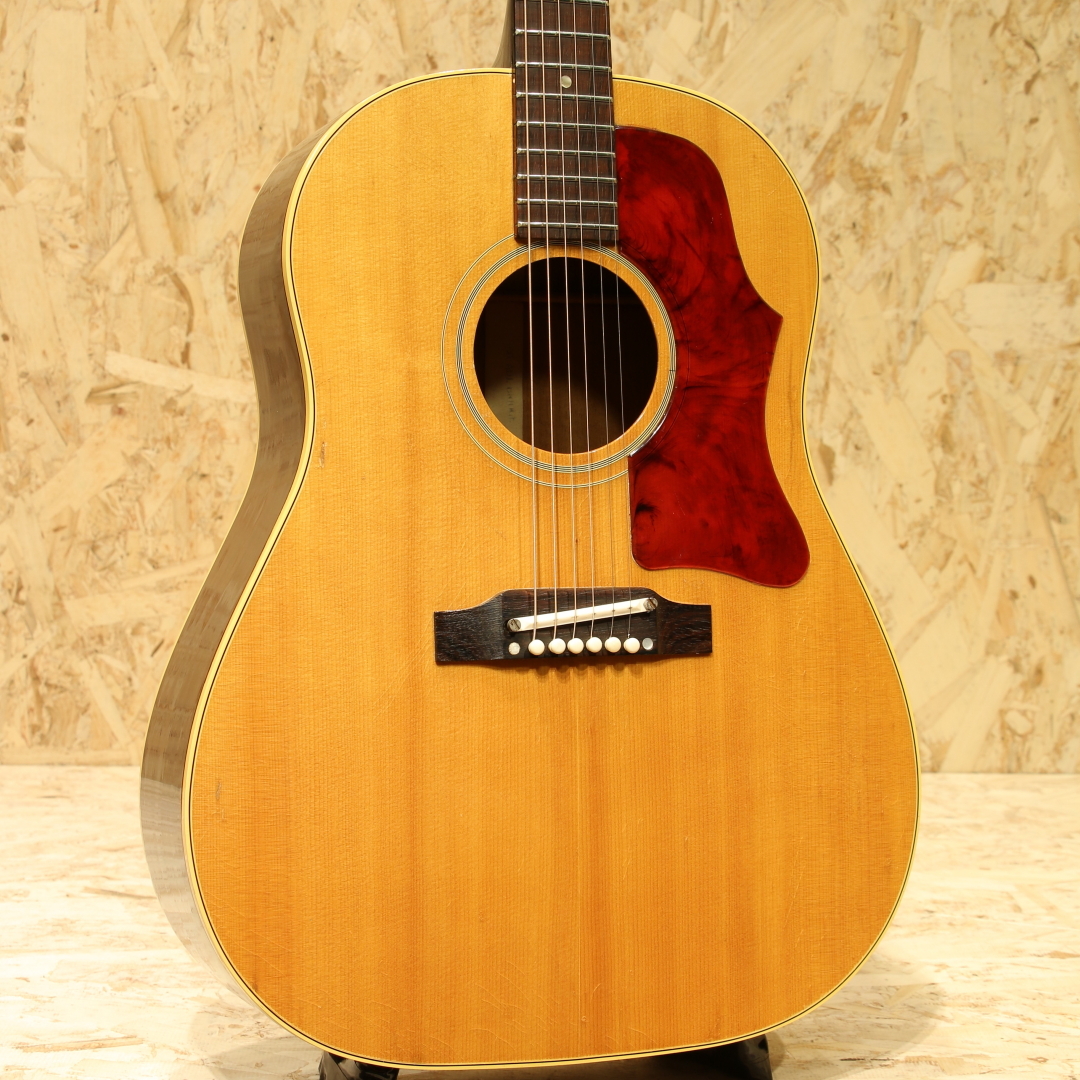 Gibson J-50 1964（ビンテージ）【楽器検索デジマート】