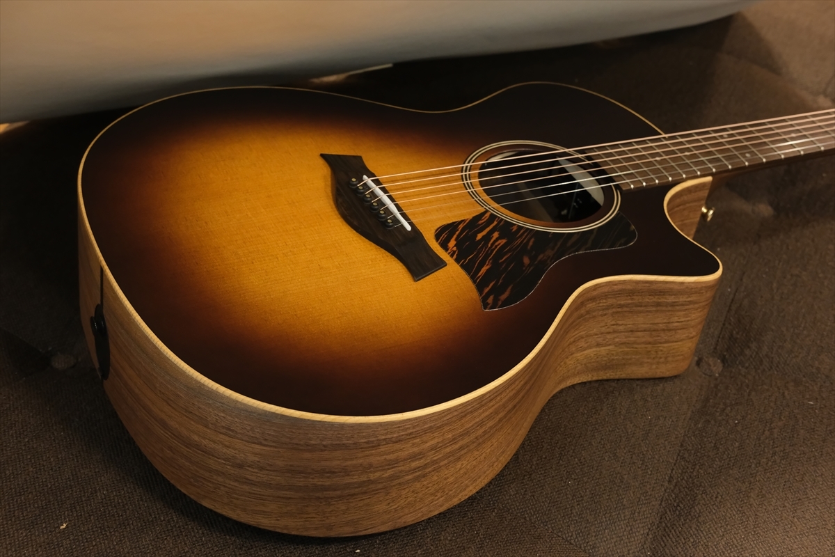 Taylor 50th Anniversary AD14ce-SB LTD 【特別選定品】（新品