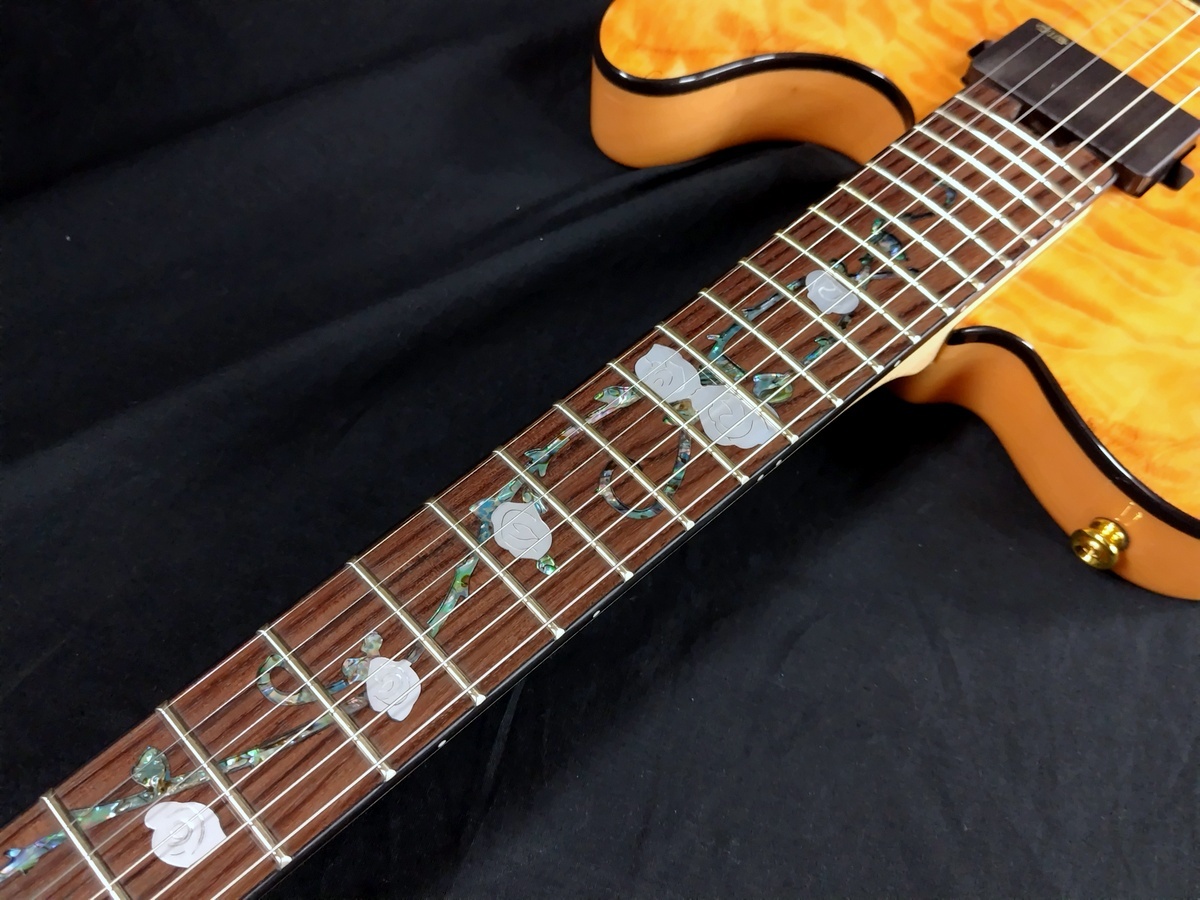 Aria Pro II TEG-780 N (Natural)（B級特価）【楽器検索デジマート】