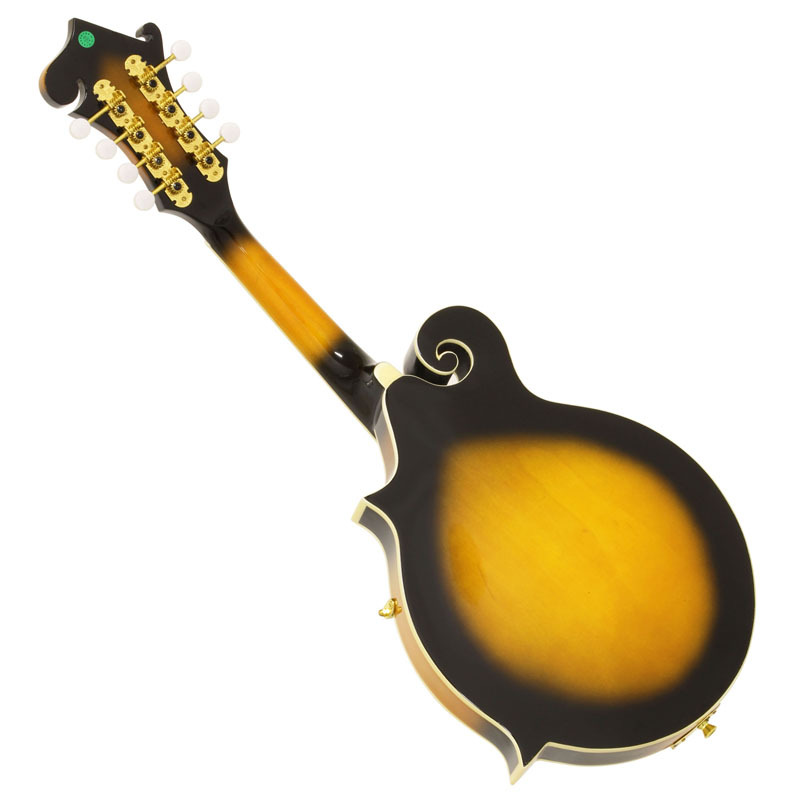 ARIA AM-40 Mandolin マイク搭載!! ハードケース付き アンプに繋げる