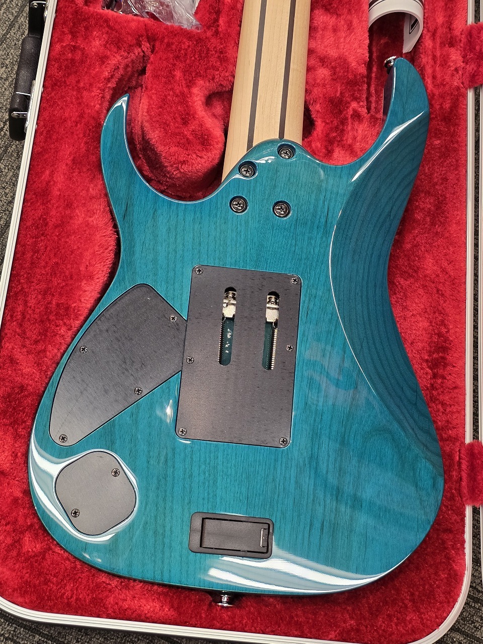 Ibanez HZK1 「HAZUKI (NEMOPHILA, KOIAI)」「現物写真」シグ