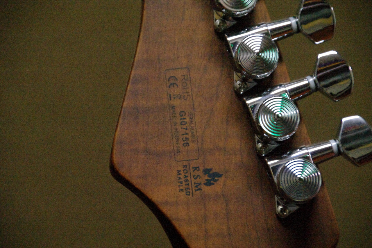 Bacchus GIN-FORCE/RSM（新品）【楽器検索デジマート】