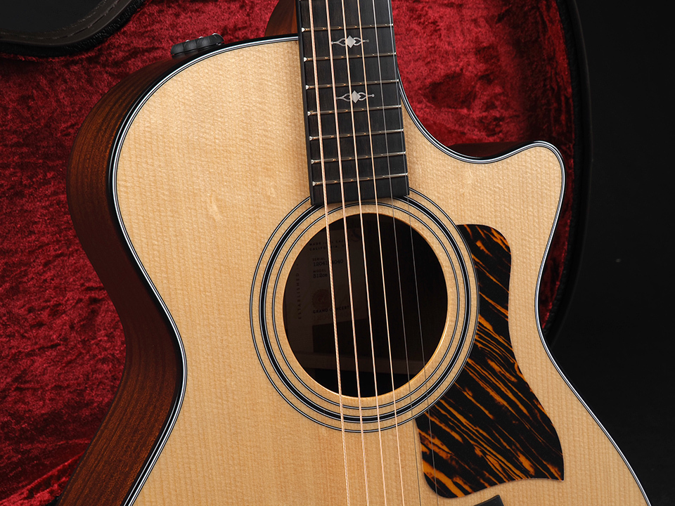 Taylor 312ce V-Class（新品/送料無料）【楽器検索デジマート】