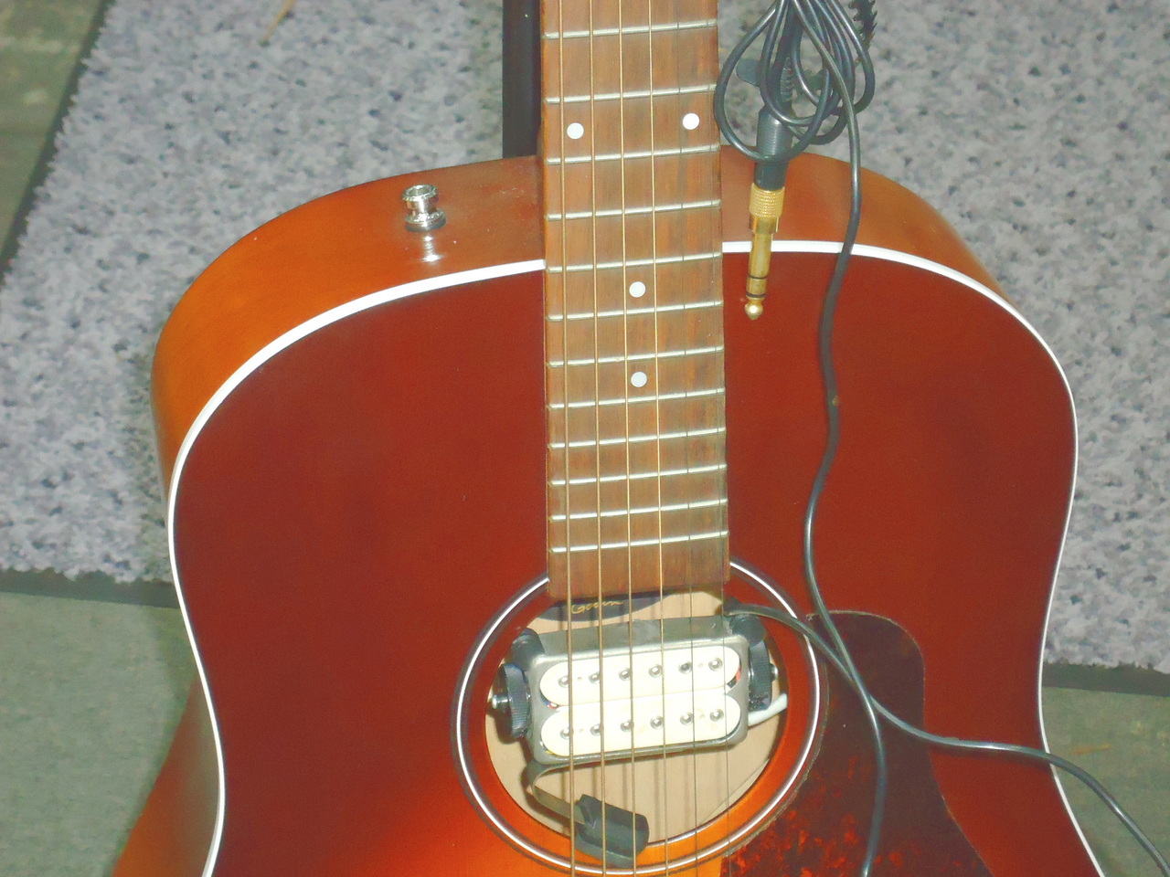 【1月中特価】シーガルEntourage Autumn Burst 046492_ENTOURAGE-AUTUMN-BURST-