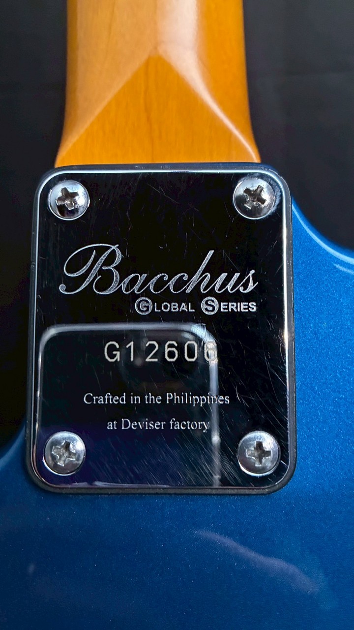 bacchus global series（弦高調整済み） 高品質の人気 bacchus global series（弦高調整済み） ギター