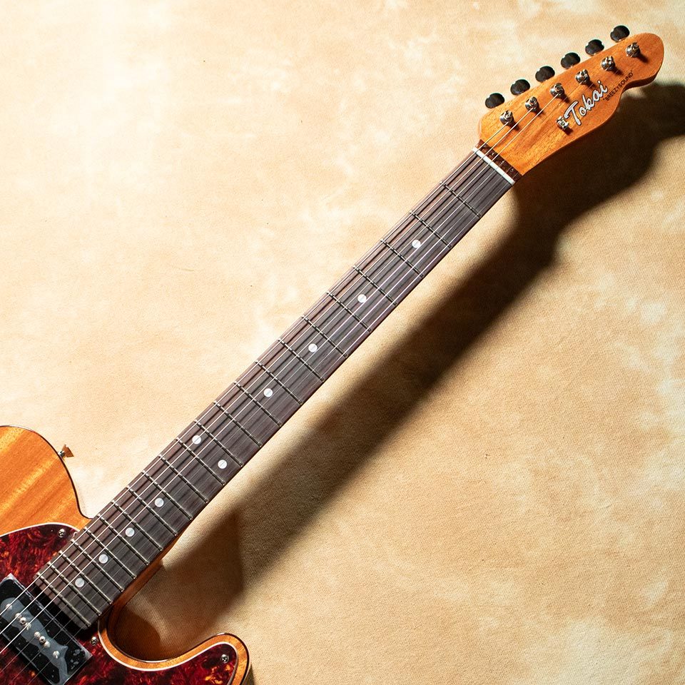 Tokai ATE-103S N/R（新品/送料無料）【楽器検索デジマート】